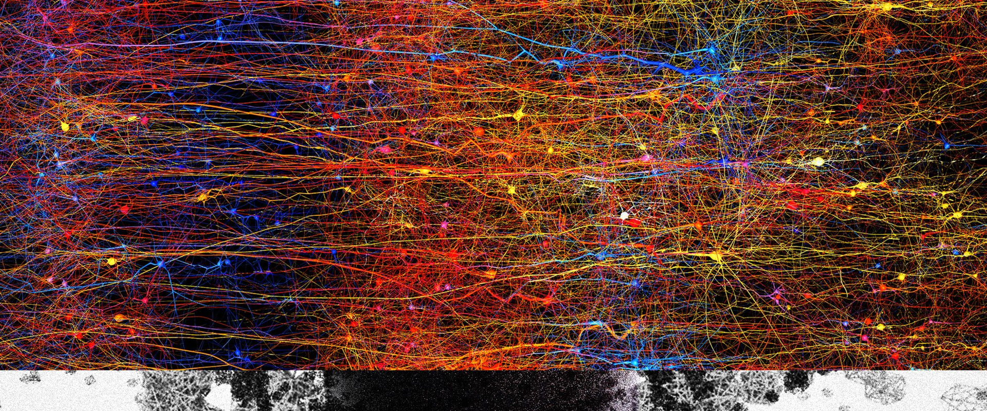Mind Mapping: Unlocking the Power of Visual Learning for A-Level Biology Students in London