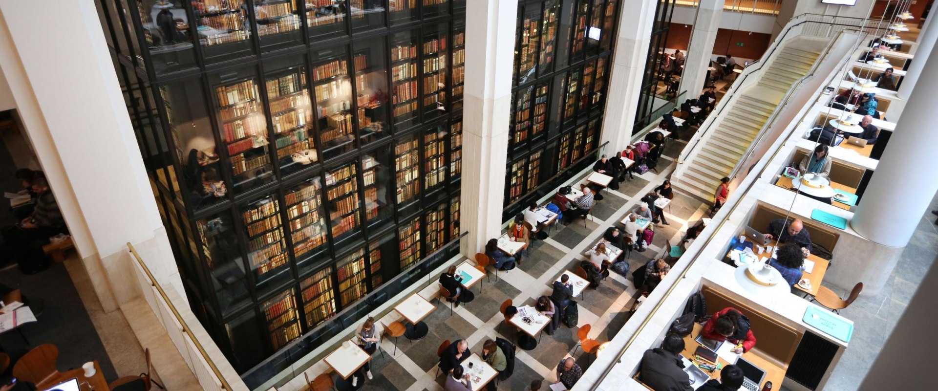 Library vs. Home Studying: Choosing the Best Study Environment for A-Level Biology in London
