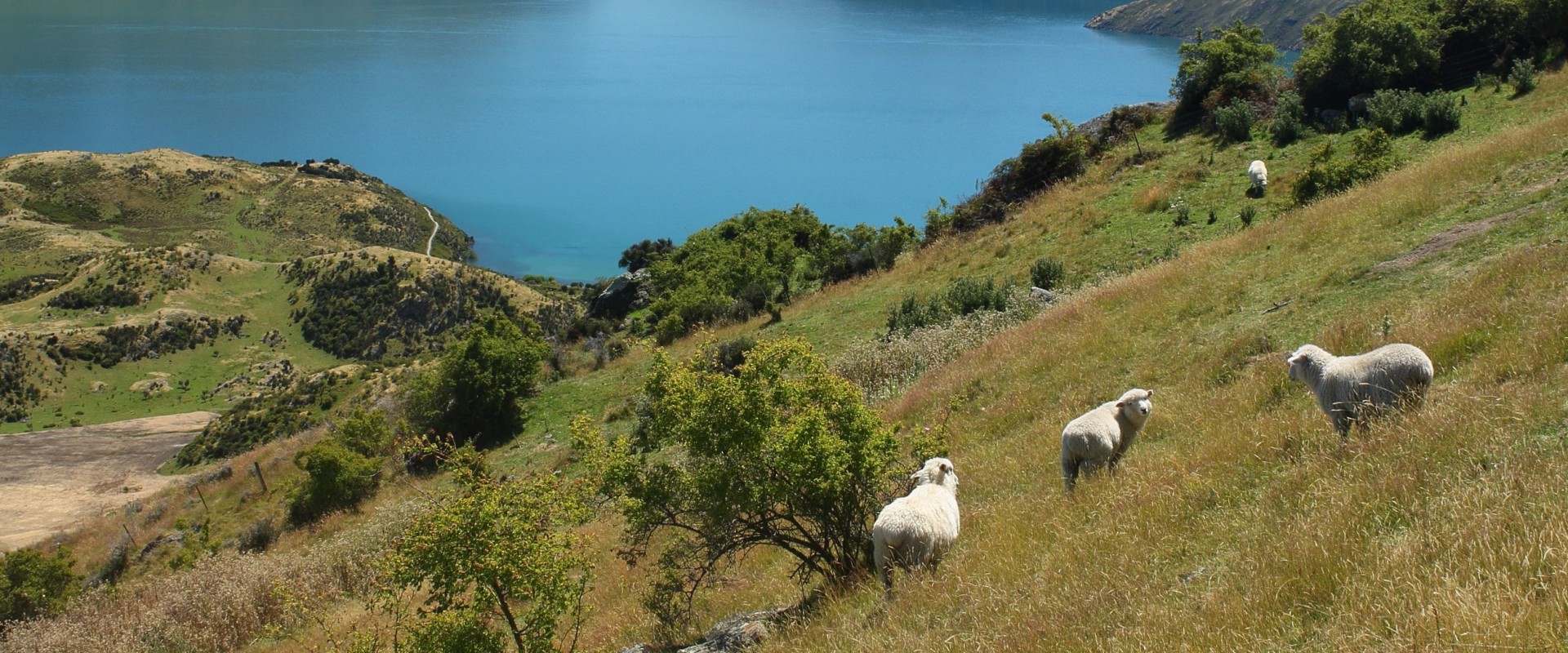 The Importance of Understanding Biogeochemical Cycles in A-Level Biology