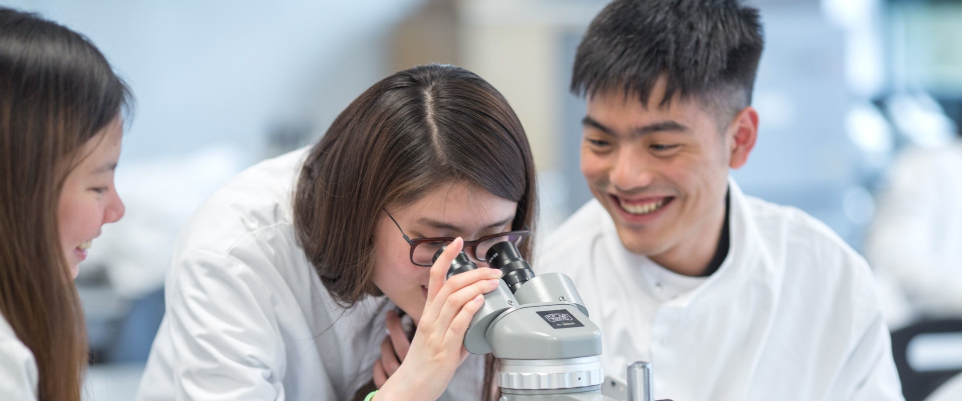 Understanding Cell Structure and Function: A Comprehensive Guide for A-Level Biology Students in London