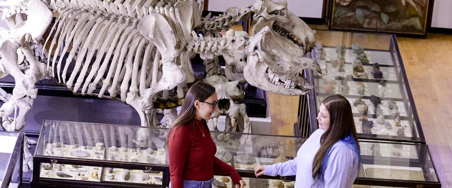 A Comprehensive Look at Animal Anatomy for A-Level Biology Students in London