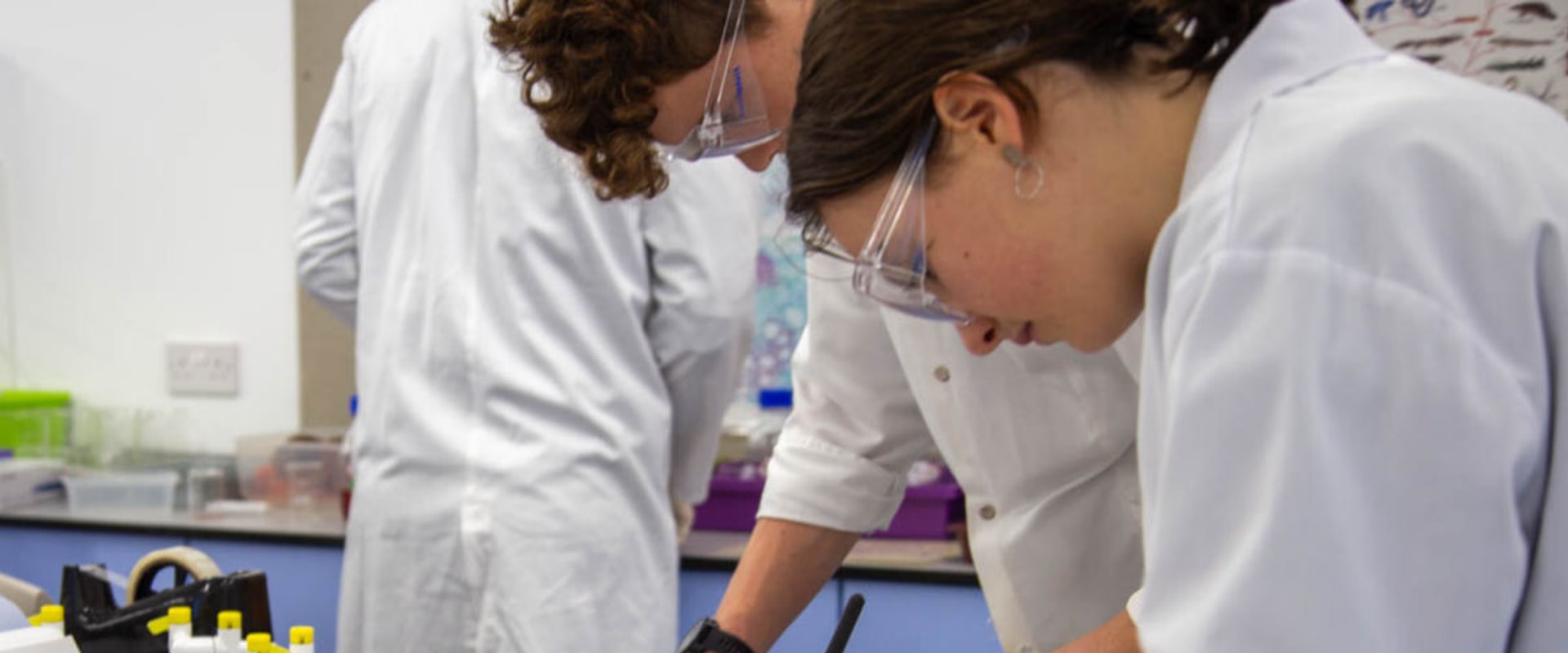 Sharing Positive Experiences: A Student's Guide to A-Level Biology Study Guides in London