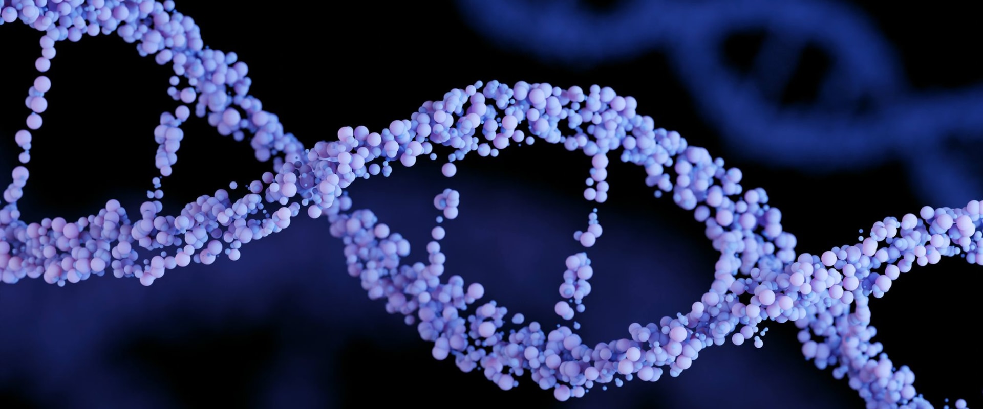 A Beginner's Guide to Understanding DNA and RNA