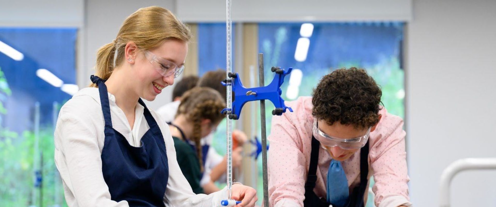 A Comprehensive Guide to Reproduction and Development for A-Level Biology Students in London