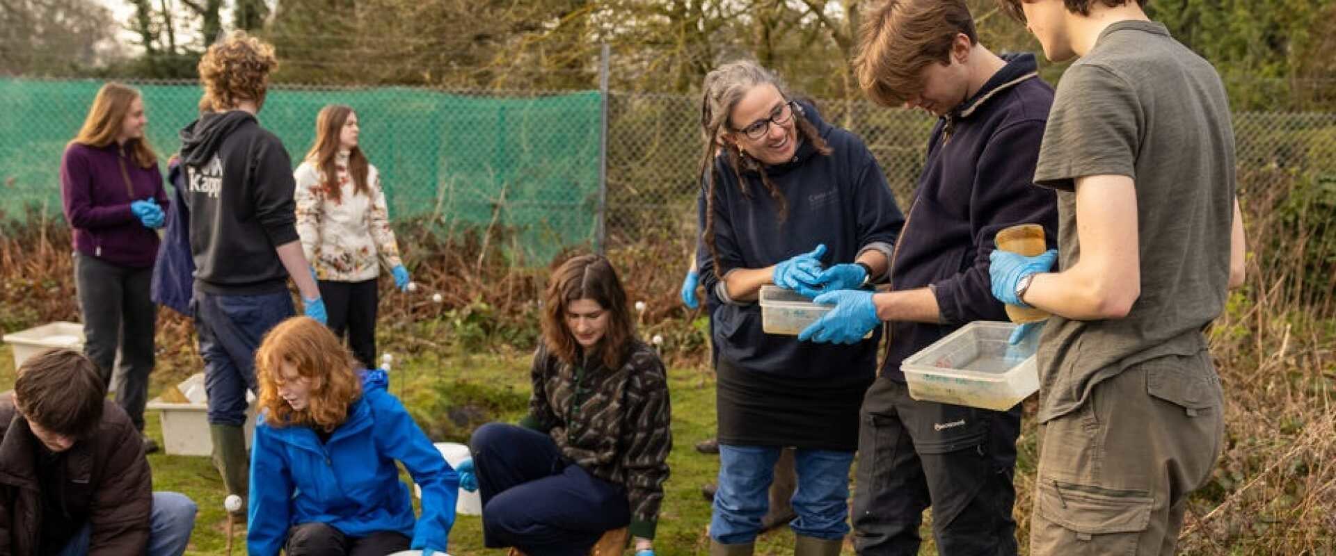 How Biodiversity Impacts A-Level Biology: A Comprehensive Guide for London Students