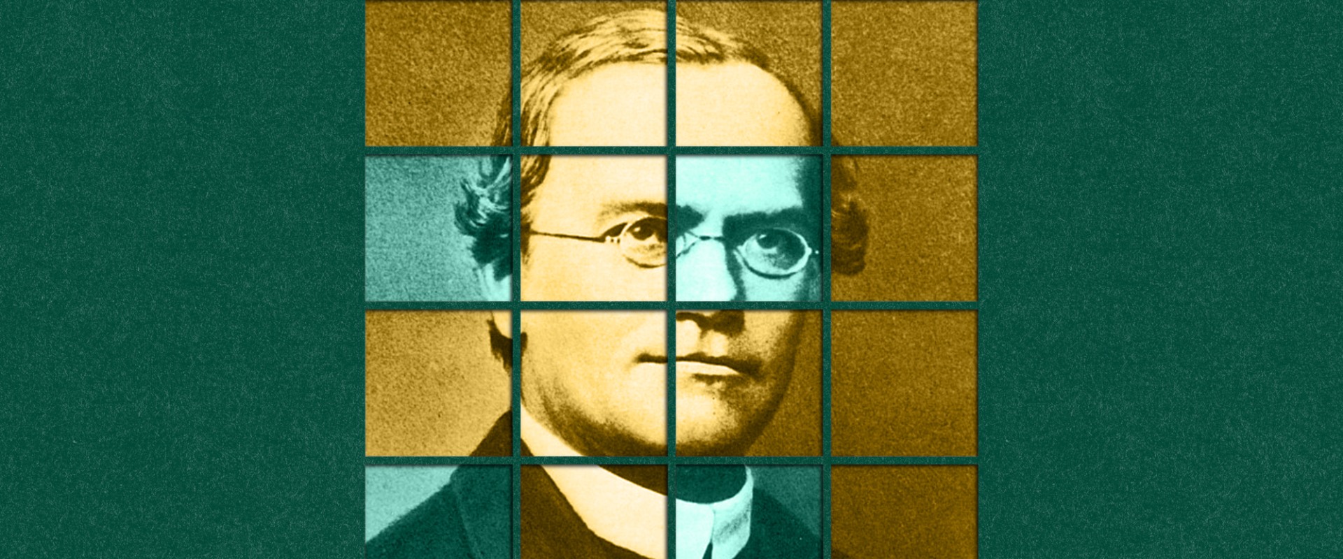 Understanding Mendelian Genetics for A-Level Biology Students in London