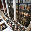 Library vs. Home Studying: Choosing the Best Study Environment for A-Level Biology in London