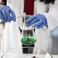 Providing Effective Feedback: Tips and Strategies for A-Level Biology Students in London