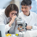 Understanding Cell Structure and Function: A Comprehensive Guide for A-Level Biology Students in London