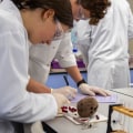 Sharing Positive Experiences: A Student's Guide to A-Level Biology Study Guides in London