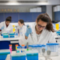 An Introduction to Biochemistry: A Comprehensive Resource for A-Level Biology Students in London