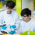 A Comprehensive Guide to Identifying Weak Areas in A-Level Biology for London Students