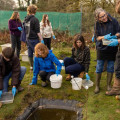How Biodiversity Impacts A-Level Biology: A Comprehensive Guide for London Students