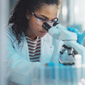 Understanding the Digestive System: A Comprehensive Guide for A-Level Biology Students in London