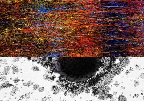 Mind Mapping: Unlocking the Power of Visual Learning for A-Level Biology Students in London