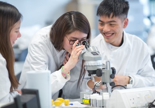 Understanding Cell Structure and Function: A Comprehensive Guide for A-Level Biology Students in London