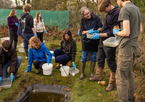 How Biodiversity Impacts A-Level Biology: A Comprehensive Guide for London Students
